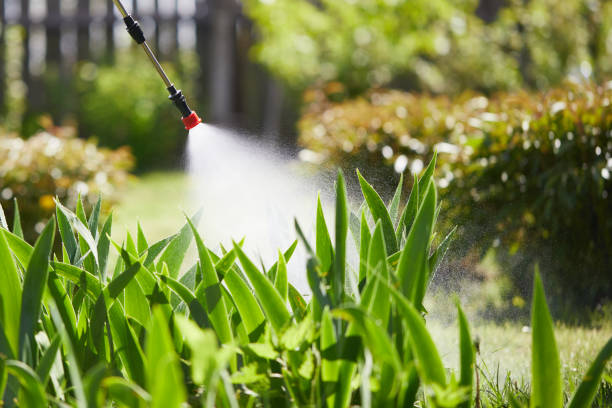 Tamper-Resistant Bait Stations for Rodents in Galveston