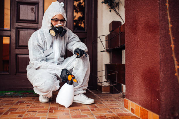Attic and Crawl Space Rodent Treatment in Galveston